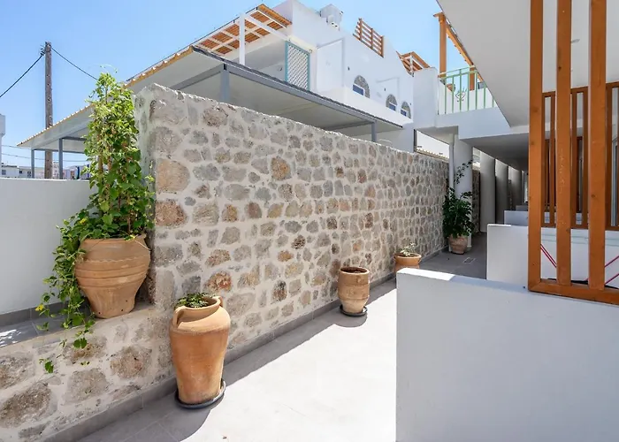 Bivalvia 팔리라키