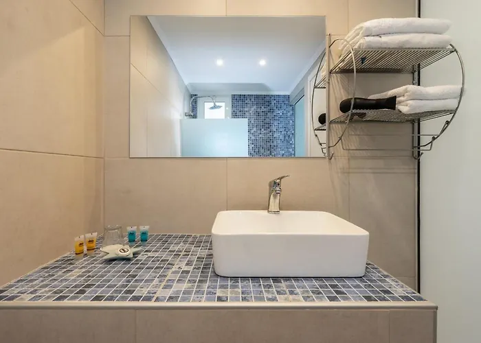 Bivalvia 3* 팔리라키