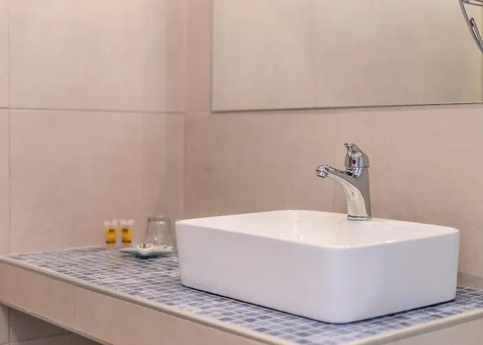 Bivalvia 팔리라키