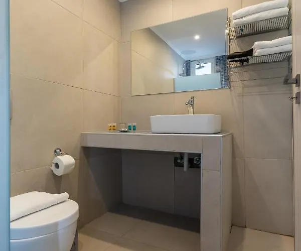 Bivalvia 팔리라키