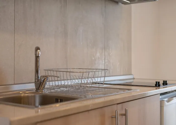 Bivalvia 3* 팔리라키