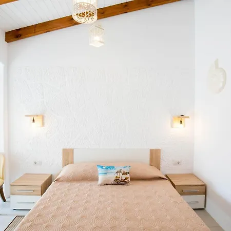 Bivalvia 法里拉基