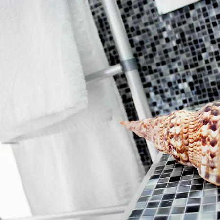 Bivalvia 法里拉基