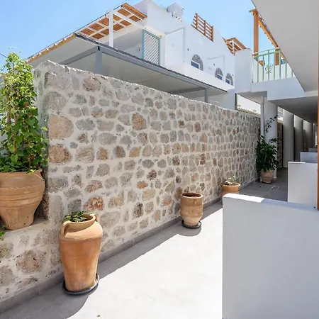 Bivalvia 法里拉基